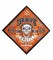 Headrush Bandana Orange