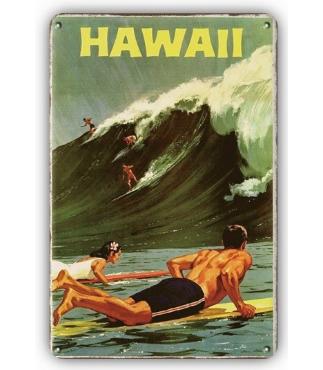 Blechschild Hawaii 20x30 CM